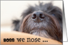Boss Humorous Birthday Card From Group - The Dog Nose card