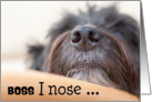 Boss Humorous Birthday Card - The Dog Nose card