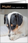 Mum Humorous Birthday Card - Dog Burp card