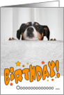 Humorous Birthday Card - Dog Peeking Over Table card