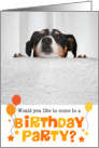 Humorous Birthday Party Invitation - Dog Peeking Over Table card