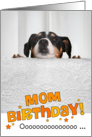 Mom Humorous Birthday Card - Dog Peeking Over Table card