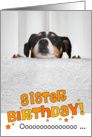 Sister Humorous Birthday Card - Dog Peeking Over Table card