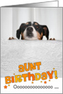 Aunt Humorous Birthday Card - Dog Peeking Over Table card