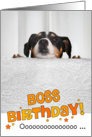 Boss Humorous Birthday Card - Dog Peeking Over Table card