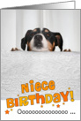 Niece Humorous Birthday Card - Dog Peeking Over Table card