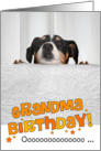 Grandma Humorous Birthday Card - Dog Peeking Over Table card