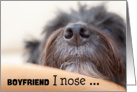 Boyfriend Humorous Birthday Card - The Dog Nose card