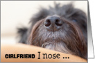 Girlfriend Humorous Birthday Card - The Dog Nose card