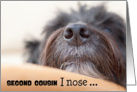 Second Cousin Humorous Birthday Card - The Dog Nose card