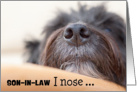 Son-in-Law Humorous Birthday Card - The Dog Nose card