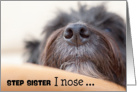 Step Sister Humorous Birthday Card - The Dog Nose card