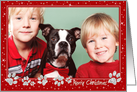 Christmas Photo Card - Sparkle Effect Paws card