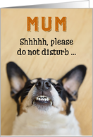 Mum - Funny Birthday Card - Dog with Goofy Grin card