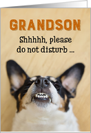 Grandson - Funny Birthday Card - Dog with Goofy Grin card