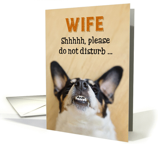 Wife - Funny Birthday Card - Dog with Goofy Grin card (1091308)