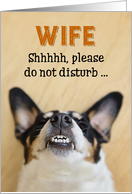 Wife - Funny Birthday Card - Dog with Goofy Grin card