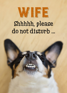 Wife - Funny...