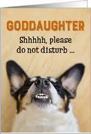 Goddaughter - Funny Birthday Card - Dog with Goofy Grin card
