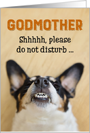 Godmother - Funny Birthday Card - Dog with Goofy Grin card