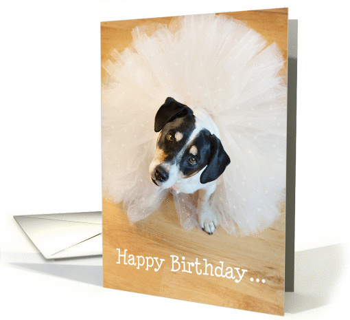 Humorous Birthday Card - Dog Wearing a Tutu card (1128844)
