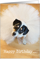 Humorous Birthday Card - Dog Wearing a Tutu card