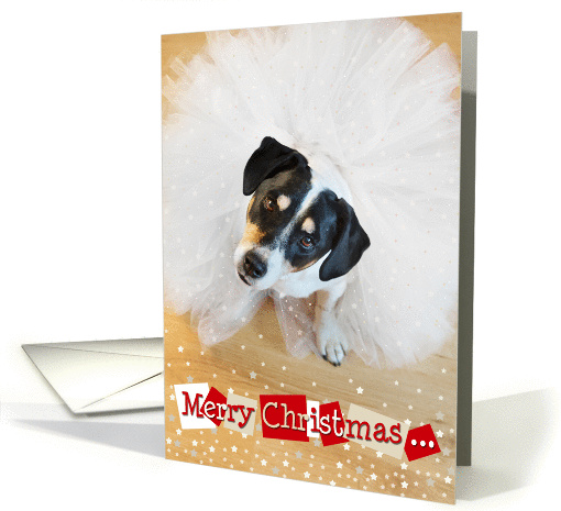 Humorous Christmas Card - Dog Wearing a Tutu card (1129872)