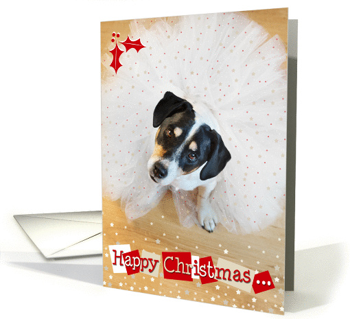 Humorous Christmas Card - Dog Wearing a Tutu - Red and White card