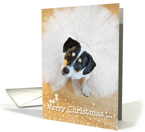 Humorous Christmas Card - Dog Wearing a Tutu - Gold and White card