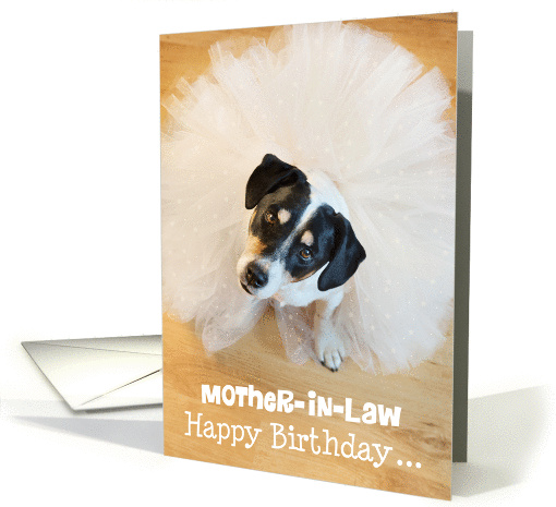 Mother-in-Law Humorous Birthday Card - Dog Wearing a Tutu card
