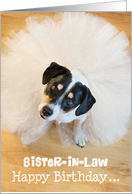 Sister-in-Law Humorous Birthday Card - Dog Wearing a Tutu card