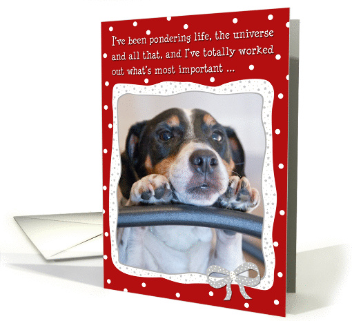 Humorous Christmas Card - Dog Pondering Life,The Universe... (1135862)