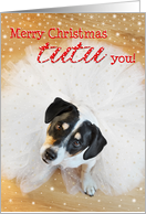 Humorous Christmas Card - Dog Wearing a Tutu card