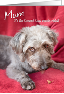 Mum Humorous Birthday Card - Cheeky Pup Eats Half the Treat card