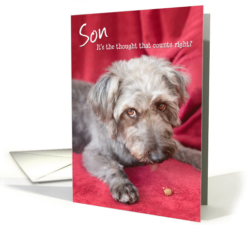 Son Humorous Birthday Card - Cheeky Pup Eats Half the Treat card
