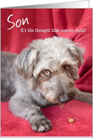 Son Humorous Birthday Card - Cheeky Pup Eats Half the Treat card