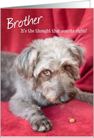 Brother Humorous Birthday Card - Cheeky Pup Eats Half the Treat card