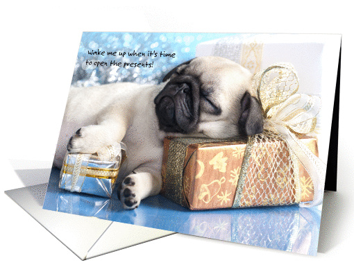 Funny Pug Dog Christmas card (1241464)
