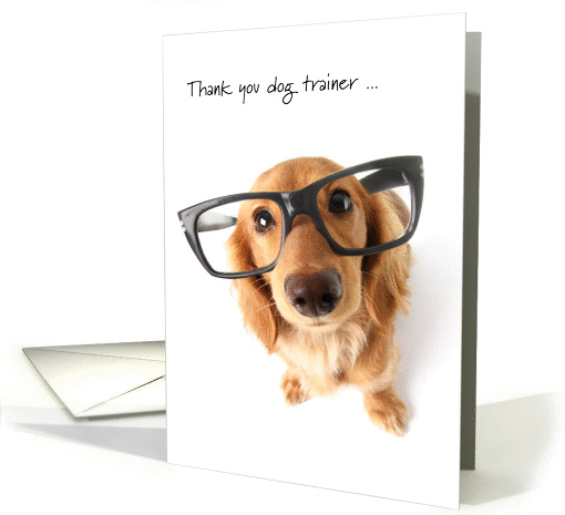 Thank You Dog Trainer - Cute Dog Wearing Large Glasses card (1241508)