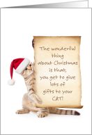 Funny Cat Christmas...
