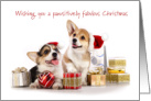 Christmas Card - Corgi Puppies and Presents card
