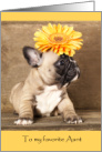 Aunt Birthday Card - Cute Puppy with Orange Flower on Head card