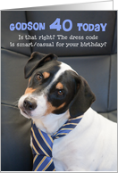 Funny Godson 40th Birthday Card - Dog Wearing Smart Tie card