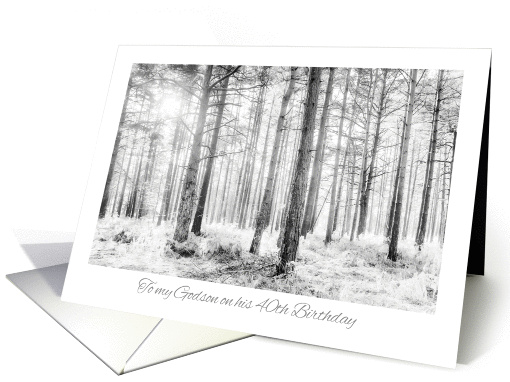 Godson 40th Birthday Card - Black and White Sunlit Forest Trees card
