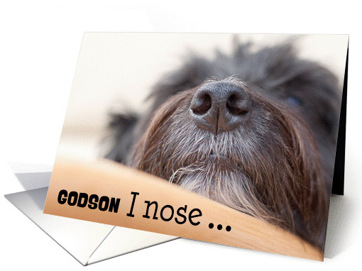 Godson 40th Birthday Card - The Dog Nose card (1244926)