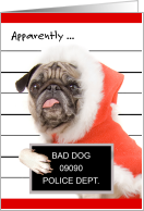 Funny Dog Christmas...