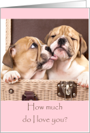 Cute Puppies Valentines Card