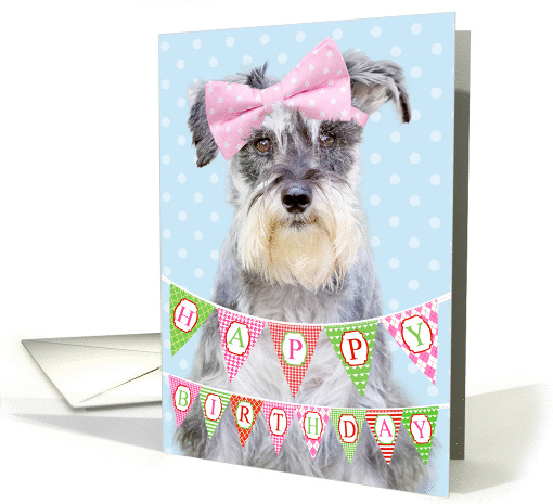 Birthday Card - Miniature Schnauzer Wearing Pink Polka Dot Bow card