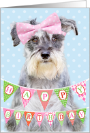 Birthday Card - Miniature Schnauzer Wearing Pink Polka Dot Bow card