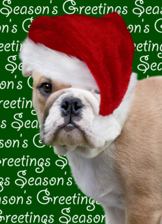 Christmas Card -...